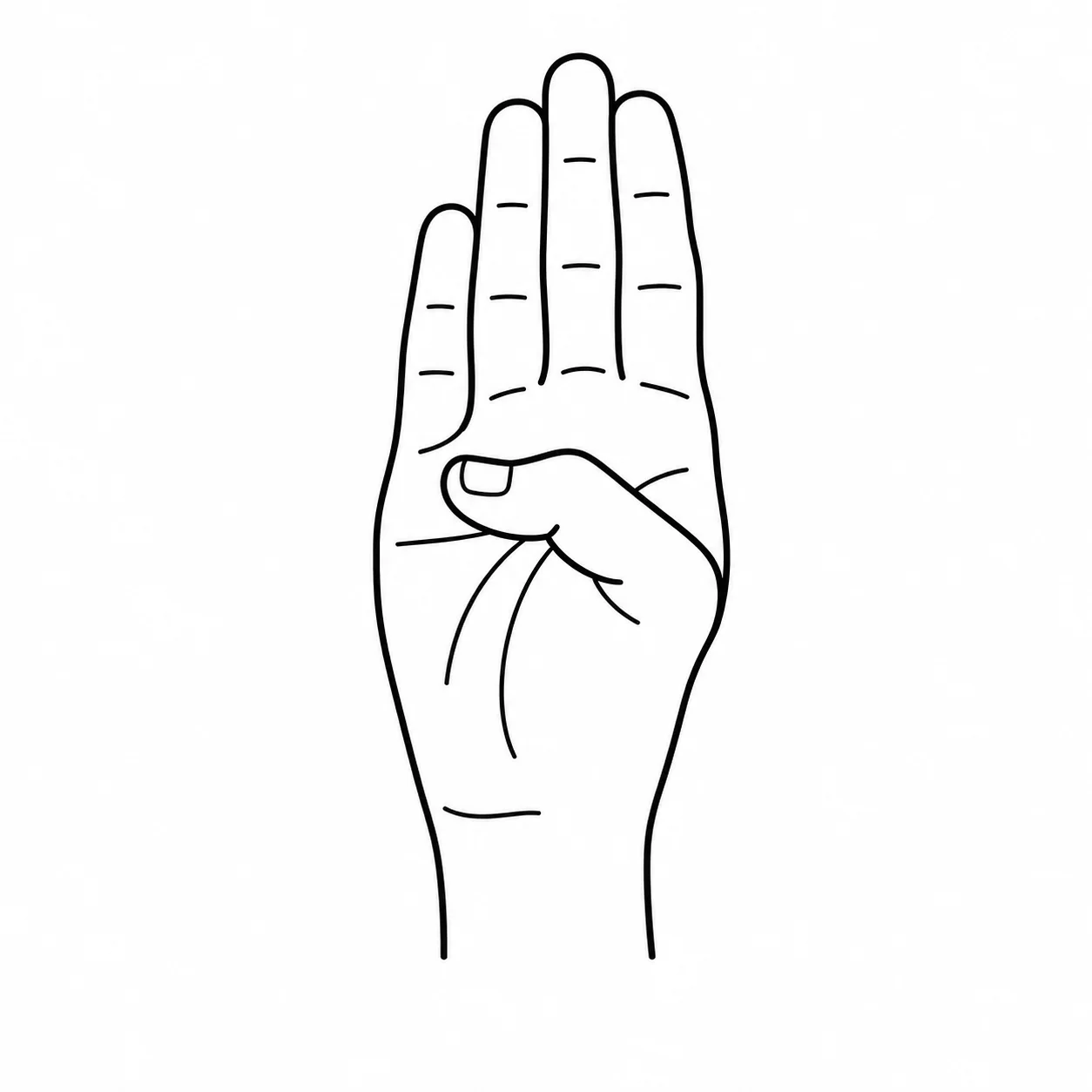 ASL letter B handshape