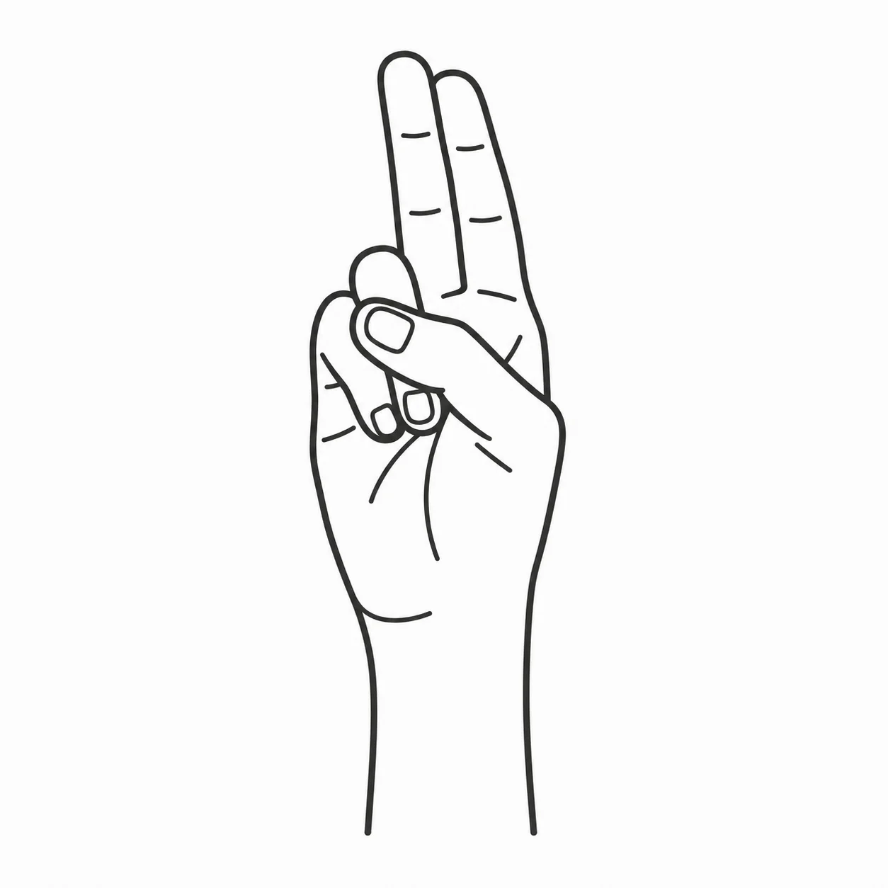 ASL letter U handshape